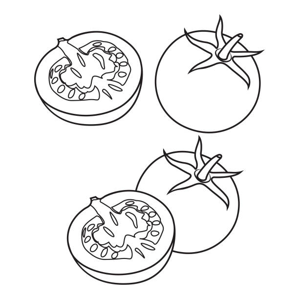 ilustraciones, imágenes clip art, dibujos animados e iconos de stock de conjunto de tomates rojos aislados sobre fondo blanco.  verduras frescas - white background stack heap food and drink