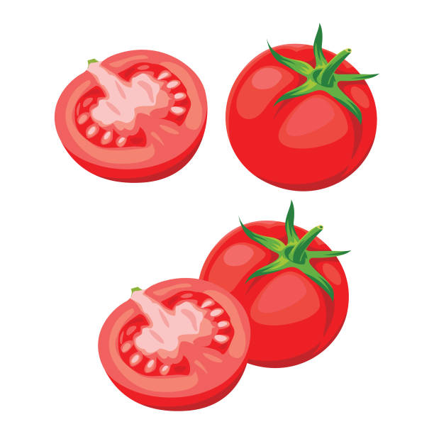 흰색 배경에 고립 된 빨간 토마토 세트입니다. 신선한 야채 - white background stack heap food and drink stock illustrations