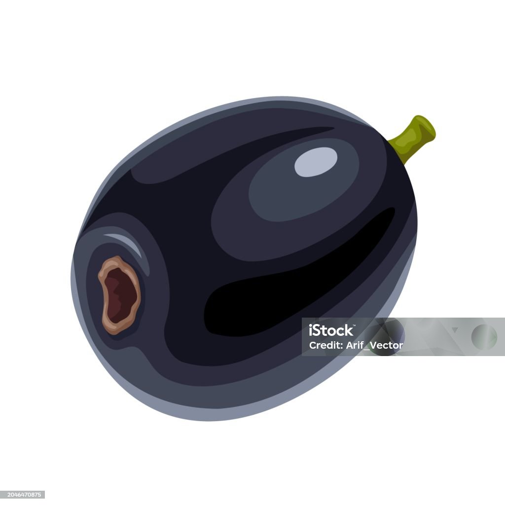 Java Plum Logo Single Java Plum Stock Illustration - Download Image Now - Agriculture ...