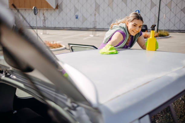 istock Young woman cleaning car 2046491758