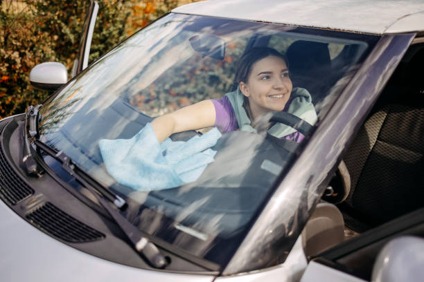 istock Young woman cleaning car 2046493342