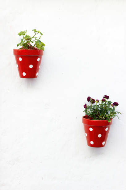 istock Potted plants decorated with typical Andalusian polka dots on a white wall. 2046502237