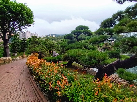 Strolling Bonsai Garden in Nan Lian Nursery