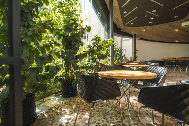 istock Pretty Bistro Patio With Large Plants 2046649504