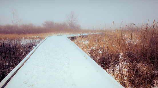 A snow covered boardwalk cutting through natural wetlands on a foggy winter day.