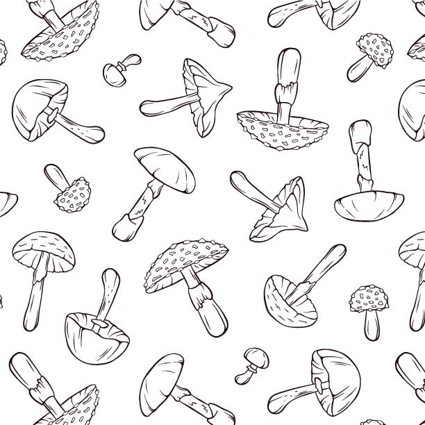 라인 아트 스타일의 먹을 수 없는 버섯이 있는 완벽한 패턴입니다. 포장지, 벽지, 파리 agaric, 파괴 천사, 치명적인 웹 캡 및 가을 해골 모자가있는 직물을위한 디자인. 벡터 일러스트 레이 션은 � - 독우산광대버섯 stock illustrations
