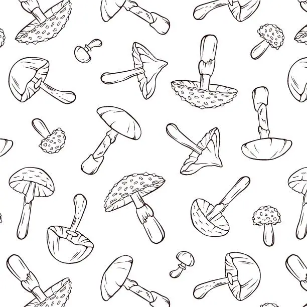 Vector illustration of Seamless pattern with inedible mushrooms in line art style. Design for wrapping paper, wallpaper, textiles with fly agaric, destroying angel, deadly webcap and autumn skullcap. Vector illustration isolated on a white background.