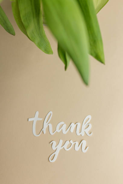 Artistic Thank You Note with Green Leaves Over Beige