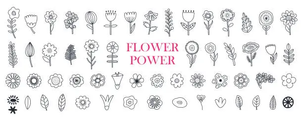 Vector illustration of Floral doodle big set with black flowers, leaves, geometric elements. Botanical modern hand drawn sketch. Silhouette vector icon