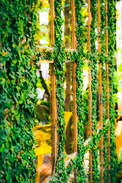 frame and background of green leaves and flowers