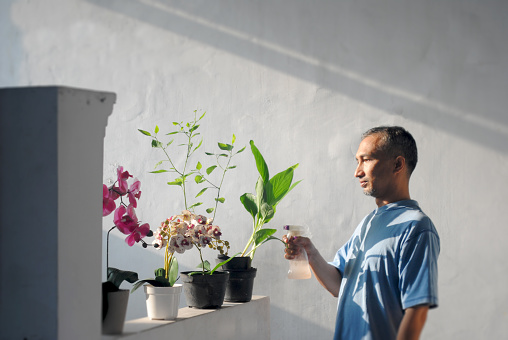 Adult male is spraying water on plants in the house.