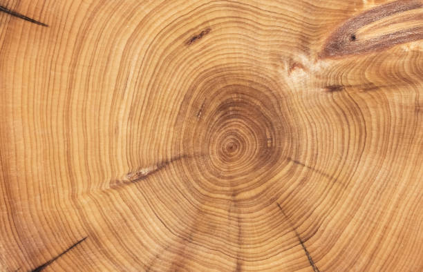 istock round wood textured background for decoration 2046794851