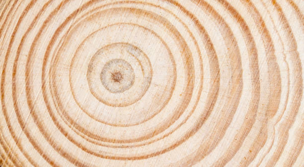 istock round wood textured background for decoration 2046799009