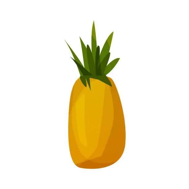 Vector illustration of Vector pineapple fresh fruit icon isolated on white