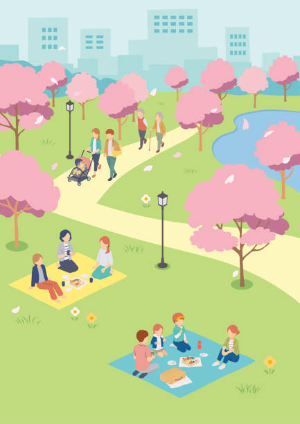 Isometric illustration of people viewing cherry blossoms Isometric illustration of people viewing cherry blossoms old lunch box stock illustrations