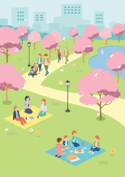 Vector illustration of Isometric illustration of people viewing cherry blossoms