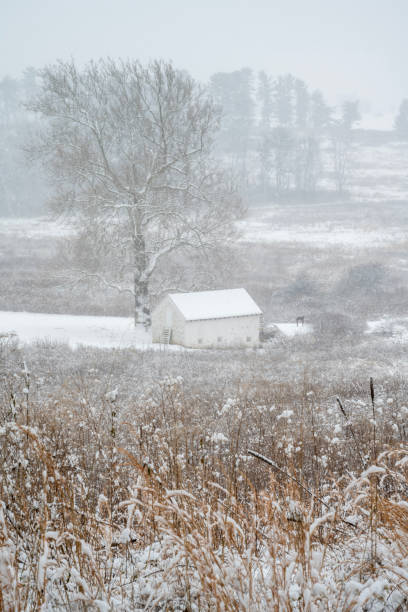 istock Winter scenery at Valley Forge National Historic Park 2046872804