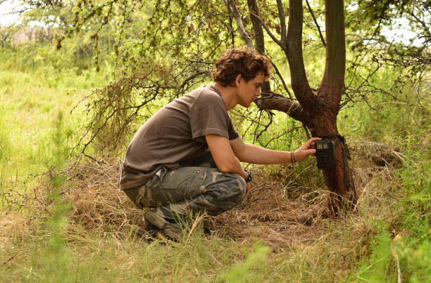 A male wildlife biologist setting a camera trap on a tree in the forest