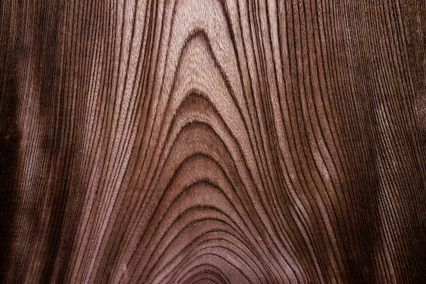 Abstract wood texture as background, macro view