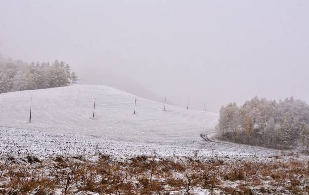 istock A high bald hill with power line poles, near a dense forest covered with the first snow. 2046897879