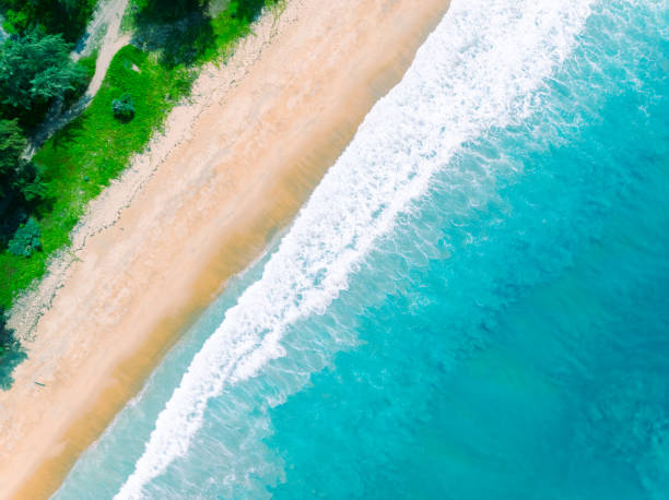 istock Top view beach with waves crashing on sandy shore,Beautiful waves sea surface in summer seascape background,Amazing beach colorful water background 2046919228