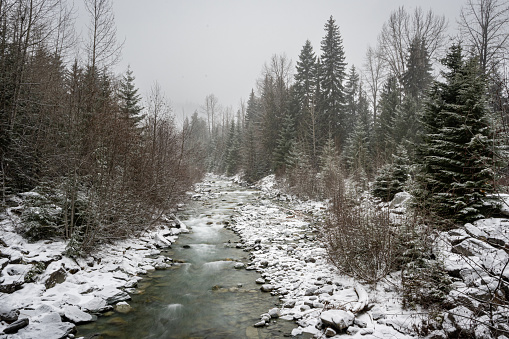 A flowing river with forest during a snowfall in Whistler, British Columbia, Canada.