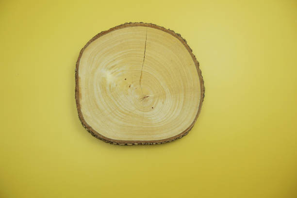 istock wooden podium product display stands flat lay on yellow background 2046997741