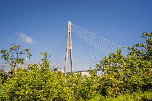 Steel Cable Suspension Bridge