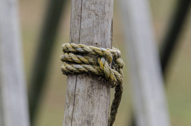Fencepost with rope on a footpath