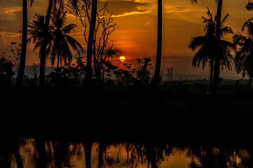 sunset reflection of coconut trees in the river