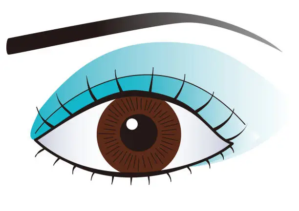 Vector illustration of Close-up of a woman's eyes with make-up