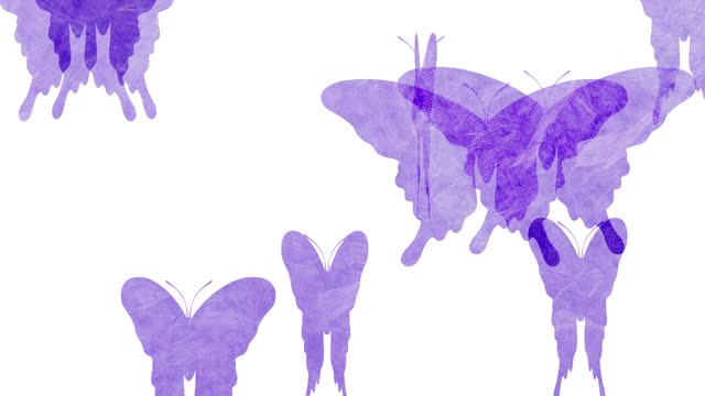 Fluttering Butterfly Animation with Japanese-style Texture