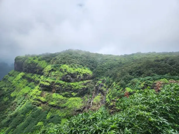 Wildlife and Landscape of Matheran Rainforest