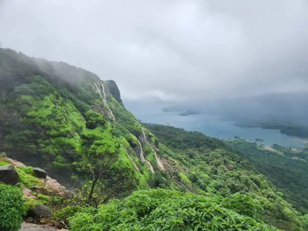 Wildlife and Landscape of Matheran Rainforest