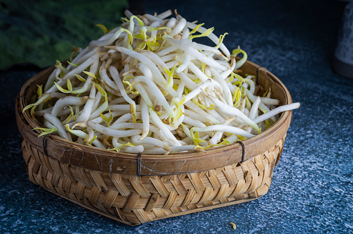 Fresh white bean sprouts in a basket on a gray background