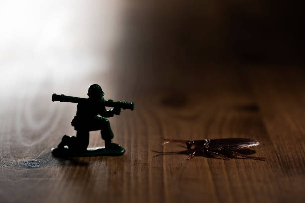 istock Miniature Troops Conquering Fake Cockroach Toy 2047178590
