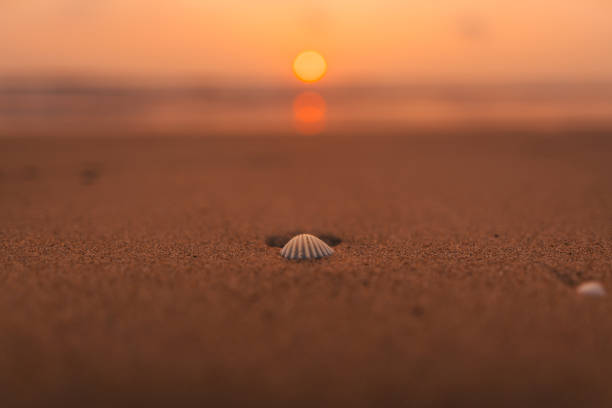 Sunset on the beach and ocean waves and orange sky