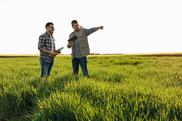 istock farmers on filed 2047257421