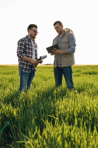 istock farmers on filed 2047257425