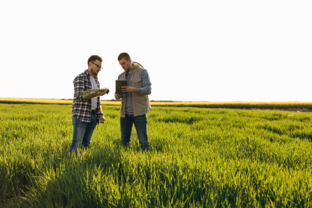 istock farmers on filed 2047257939