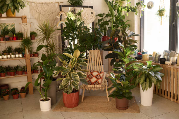 istock Modern Plant Shop Interior 2047274397