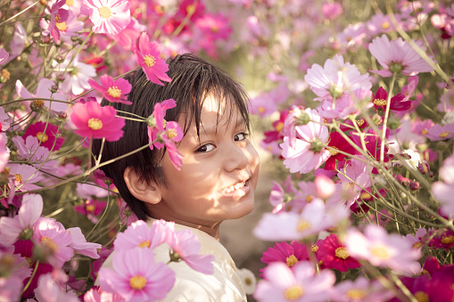 Portrait of an adorable kid looking back and smiling in the pink cosmos flower garden. Pastel color.