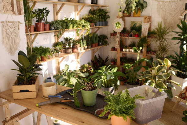 istock Workplace In Modern Plant Shop 2047292800