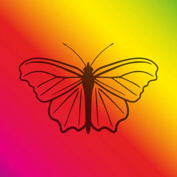 Vector illustration of Butterfly outline on colorful background, vector