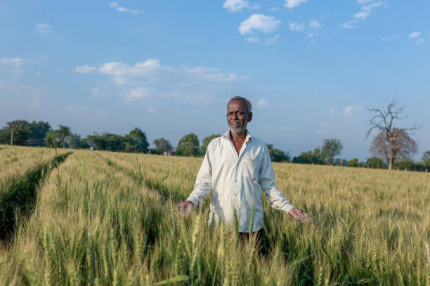 istock Indian farmer standing at wheat field, Happy farmer 2047331934