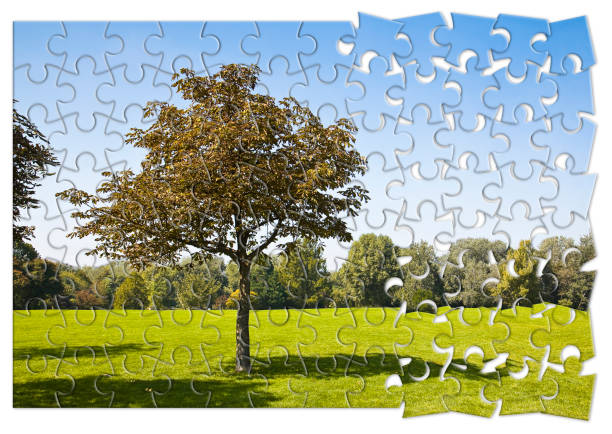 istock Isolated tree in a green meadow - environmental conservation concept image in jigsaw puzzle shape 2047355290