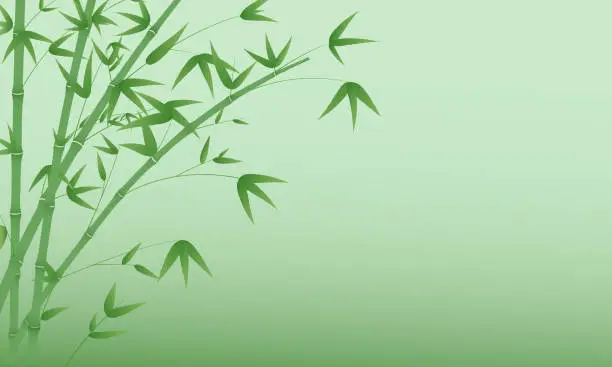 Vector illustration of Vector illustration background of minimalist bamboo