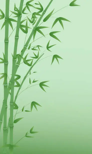 Vector illustration of Vector illustration background of minimalist bamboo