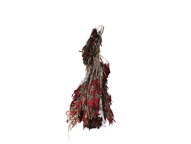 Dried chili pepper bundle isolated on white background