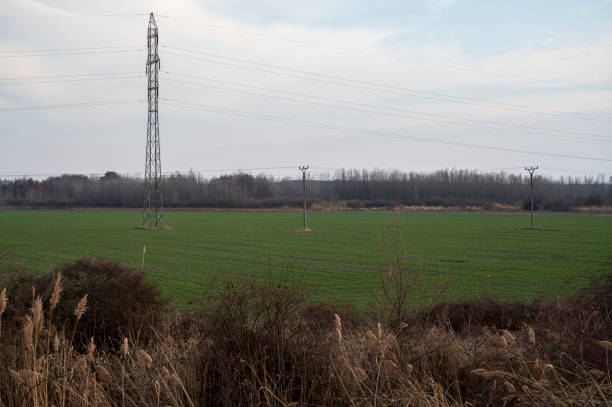 istock Green field with electric poles 2047392983